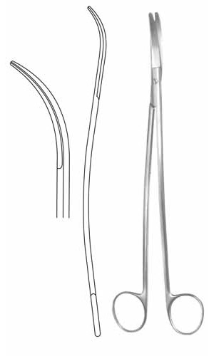 Dissecting Scissors